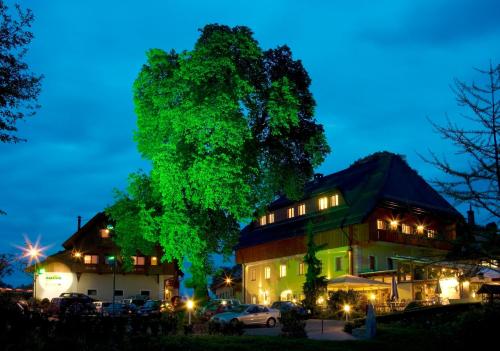 Фотография гостиницы Hotel Zollner