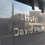 Фотография гостиницы David Plaza Hotel