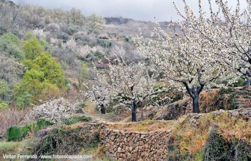 Фотография гостиницы Hotel El Yedron