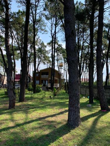 Фотография гостевого дома Григолети Дом для отпуска на пляже