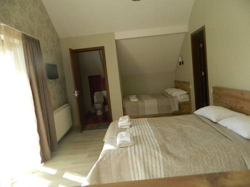 Фотография гостиницы Hotel Panorama Bakuriani