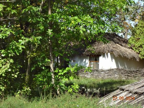 Фотография мини отеля Усадьба Репино