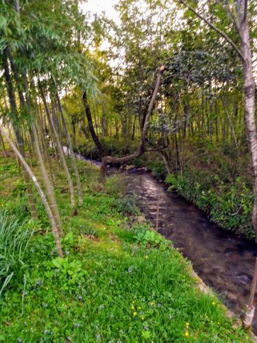 Фотография гостевого дома Paradise in Paradise