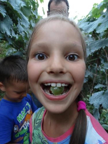 Фотография гостевого дома Rolandi's House