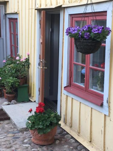 Фотография мини отеля One Room Bed & Breakfast