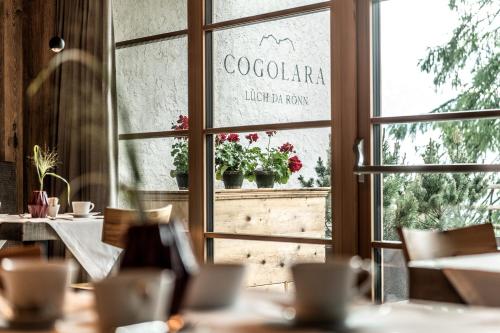 Фотография апарт отеля Chalet Cogolara