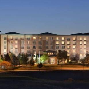 Фотографии гостиницы 
            Hilton Garden Inn Denver South Park Meadows Area