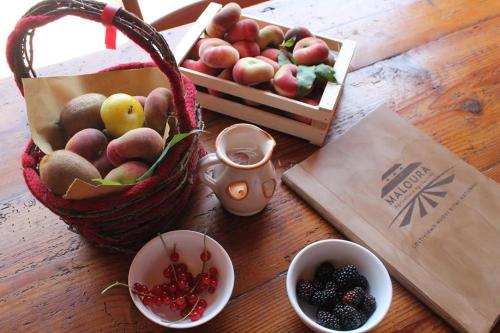 Фотография базы отдыха Agriturismo Maloura