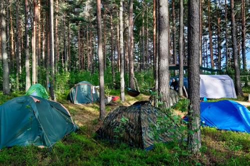 Фотография кемпинга Тара Лэнд