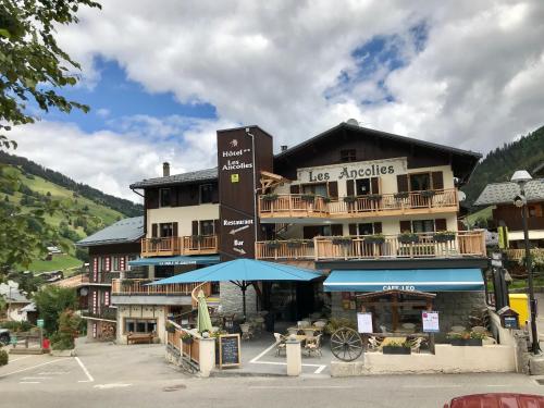 Фотографии гостиницы 
            Hôtel Les Ancolies à Arêches