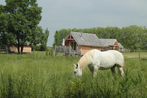 Фотографии гостевого дома 
            Shanti Lac Cabanes gîtes insolites et espace bien-être Bordeaux