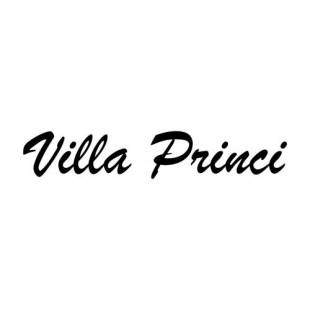 Фотографии мини отеля 
            Villa Princi