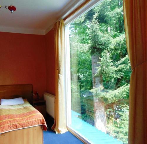 Фотография гостиницы NUNISI Forest Hotel