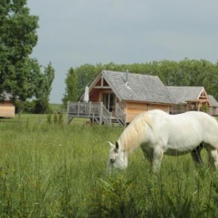 Фотография гостевого дома Shanti Lac Cabanes gîtes insolites et espace bien-être Bordeaux