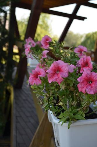 Фотография гостиницы Панская Хата