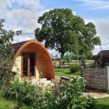 Фотография кемпинга Campion Glamping Pod