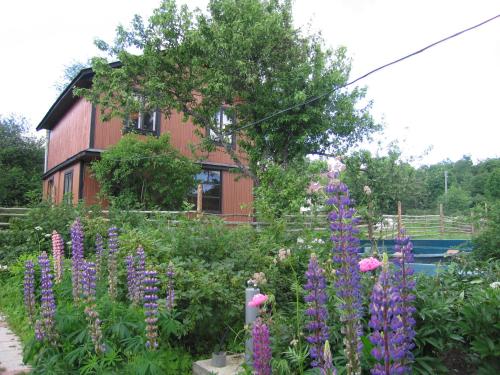 Фотография гостевого дома Укромное местечко