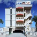 Фотография мини отеля Hotel Fine Olive Sakai