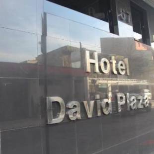 Фотографии гостиницы 
            David Plaza Hotel