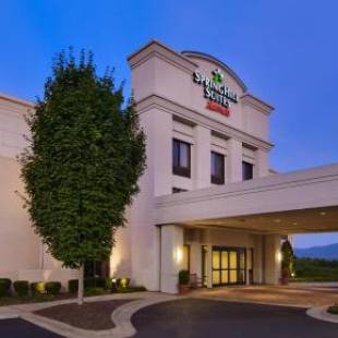 Фотографии гостиницы 
            SpringHill Suites Asheville