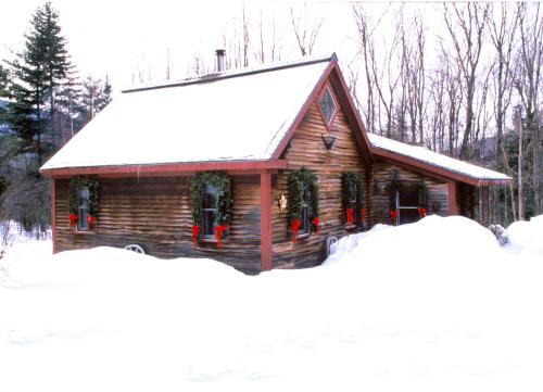 Фотографии гостевого дома 
            Goldilocks Cabin