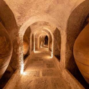 Фотографии гостиницы 
            La Bodega de Quintín