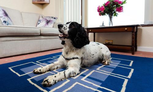 Фотография гостевого дома Kents Bank Holiday - Pet Friendly with Bay Views