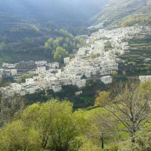 Фотографии гостевого дома 
            viviendas Rurales Casa Fermina