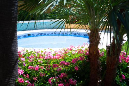 Фотография гостиницы Hotel Monarque Torreblanca