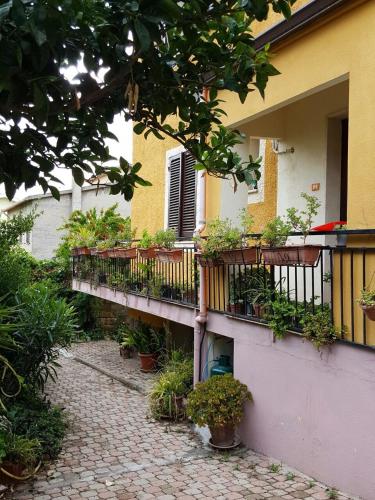 Фотография мини отеля B&B Sara