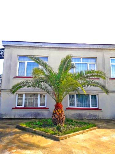 Фотографии гостевого дома 
            MG Guest House Zugdidi