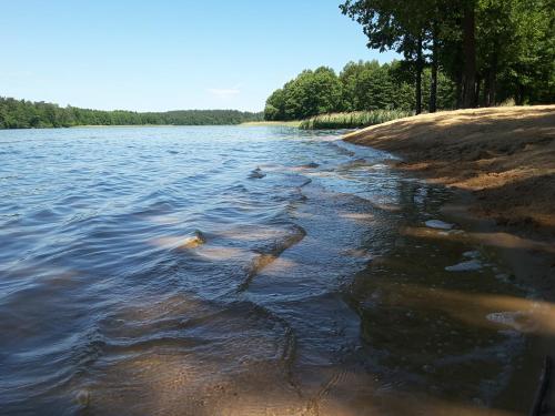 Фотография гостевого дома Willa Pasym