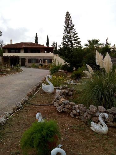 Фотография гостевого дома Villa Rita - Porto Cheli