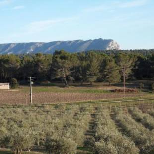 Фотографии мини отеля 
            Domaine de L'Olibaou