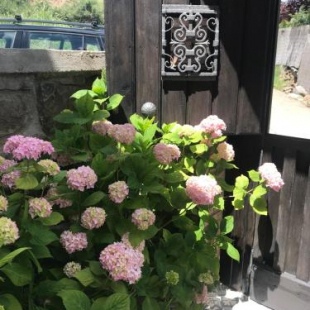 Фотография гостевого дома Casa el EDEN de Cameros