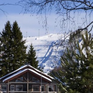 Фотография гостевого дома Himoshovi Cottages