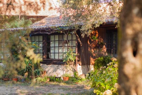 Фотография гостевого дома Chalé da Quinta "Lavoura da Bouça - Fruta Bio"