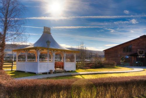 Фотография гостевого дома Domeniul Dracula Daneș