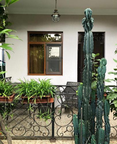 Фотография гостевого дома Отдых у Заиры