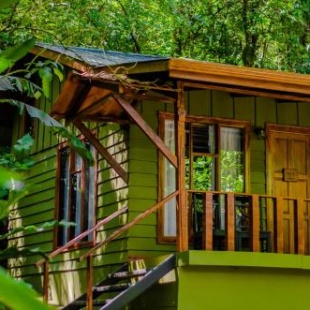 Фотография гостиницы Jaguarundi Lodge - Monteverde