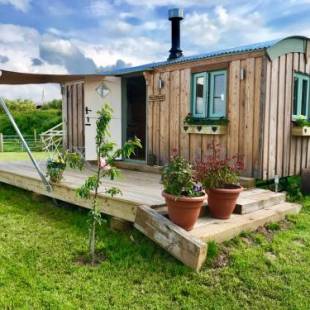 Фотографии базы отдыха 
            Willowbank shepherds hut