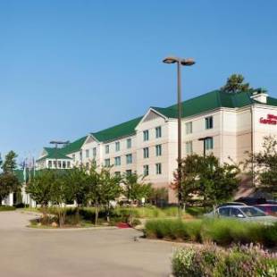 Фотографии гостиницы 
            Hilton Garden Inn Houston/The Woodlands