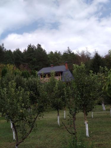 Фотография гостевого дома Пилигрим