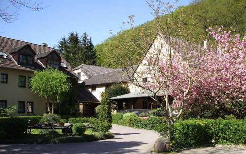 Фотография гостиницы Landhotel Burkartsmühle