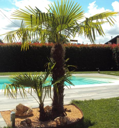 Фотография гостевого дома Springs Loft