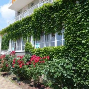 Фотография мини отеля Комфорт (бывш. Шик и Дым)