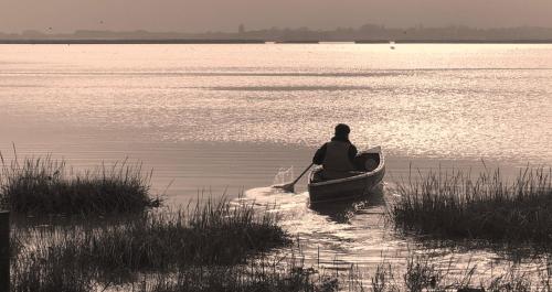 Фотография гостевого дома Marsh View Cottage, Aldeburgh