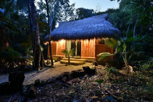 Фотографии гостиницы 
            Jolie Jungle Eco Hotel