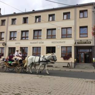 Фотографии гостиницы 
            Hotel Panský dům