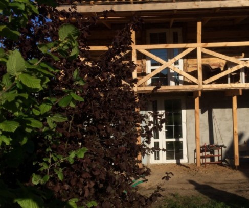 Фотография гостевого дома Коттедж Варвар